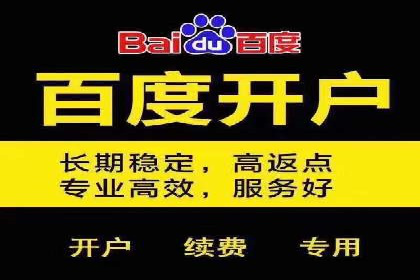 某电商平台的SEM竞价推广实践